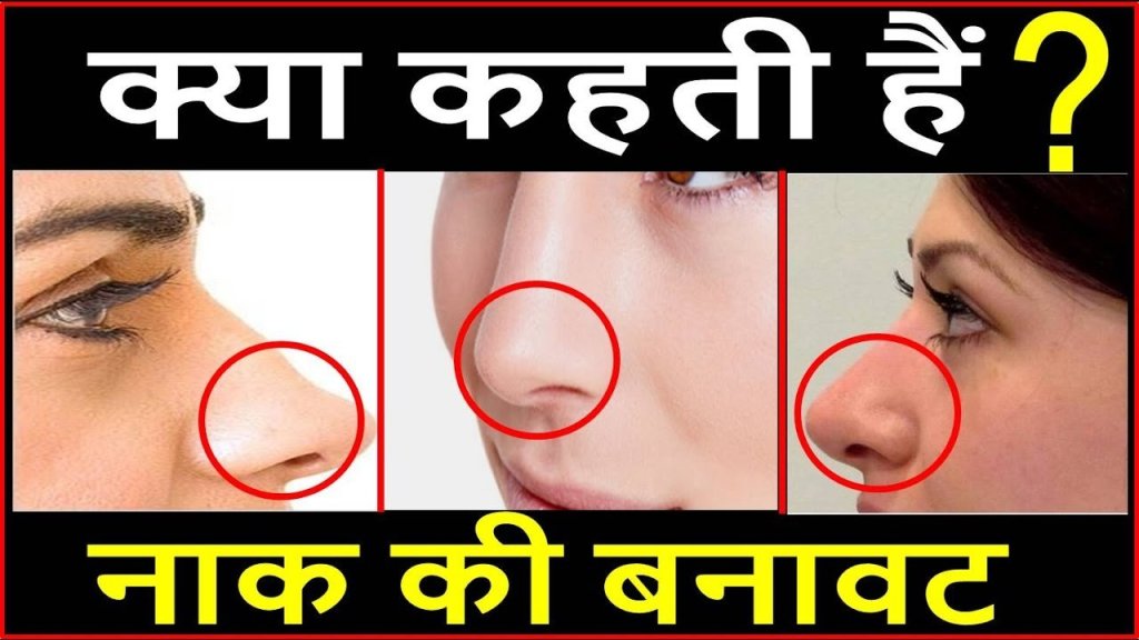 नाक की बनावट क्या कहती है  जानिए किसी व्यक्ति का स्वभाव और&nbsp;व्यक्तित्व